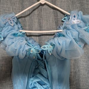 Baby Blue Ball Gown (includes hoop skirt)
